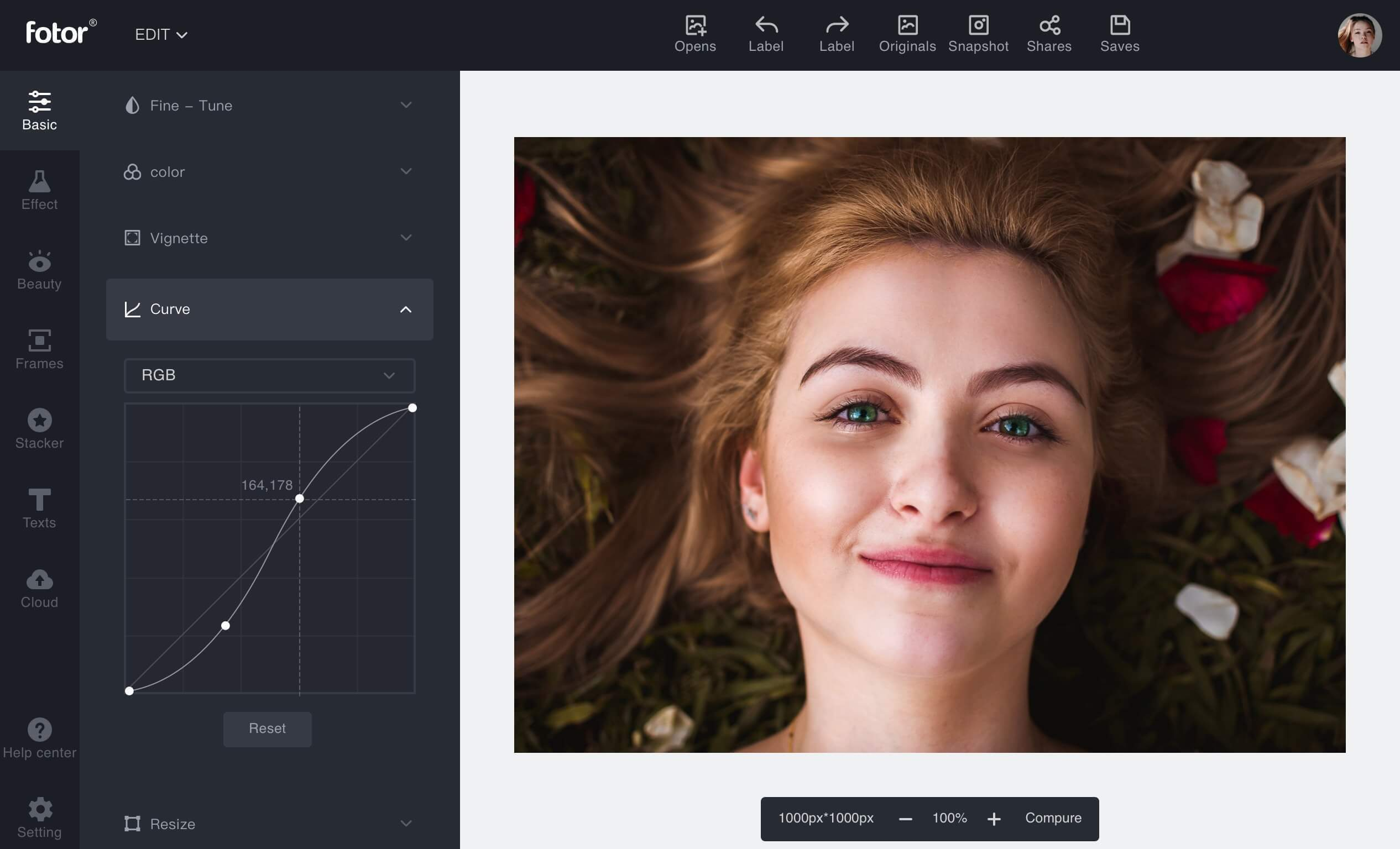 Editor De Fotos Fotor Edicion De Foto En Linea Gratis Y Photoshop Online